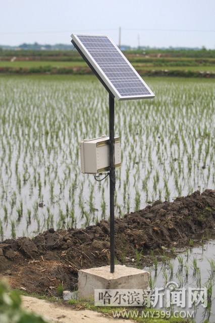 五常启用水稻智能化灌溉系统 科学精细化种水