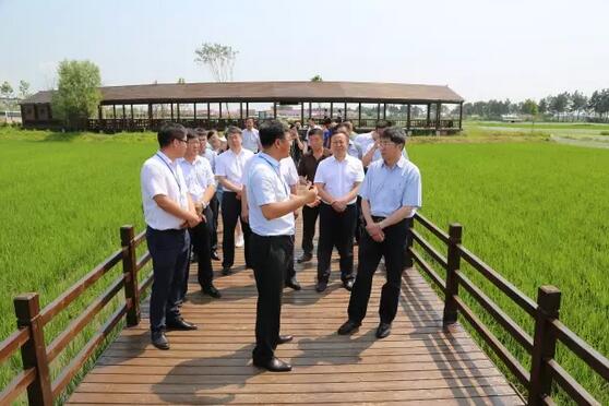 省委常委,市委书记王兆力深入五常市调研指导"两学一做"学习教育常态