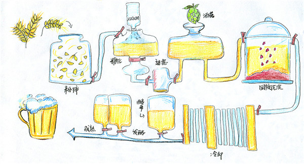 自酿啤酒流程图.